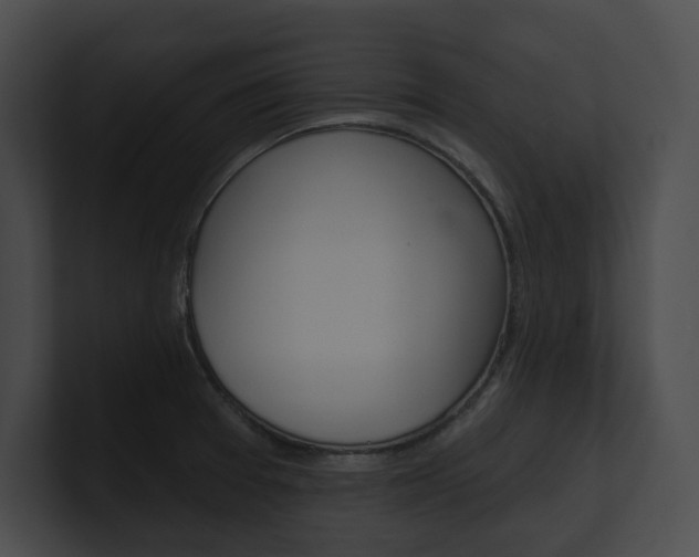 X0000101161377200806270723