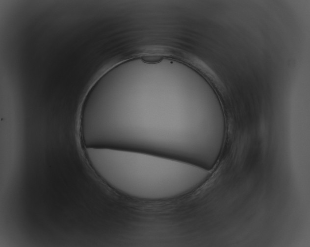 X0000101161378200806270723