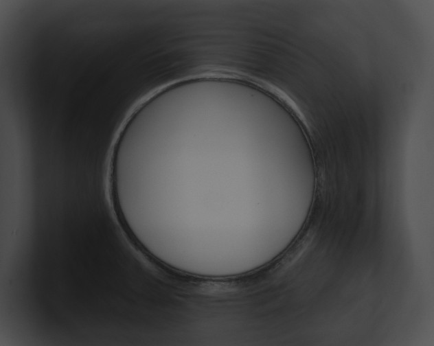 X0000101161379200806270723
