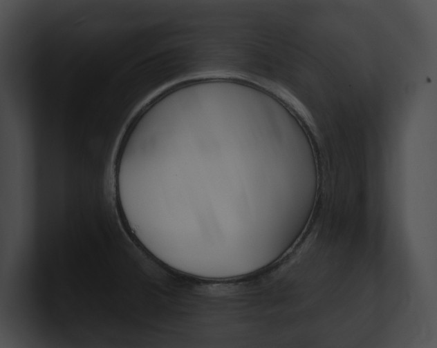 X0000101161380200806270723