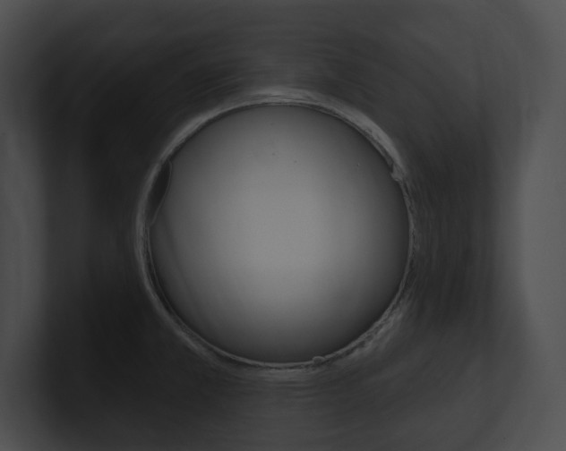 X0000101161381200806270723