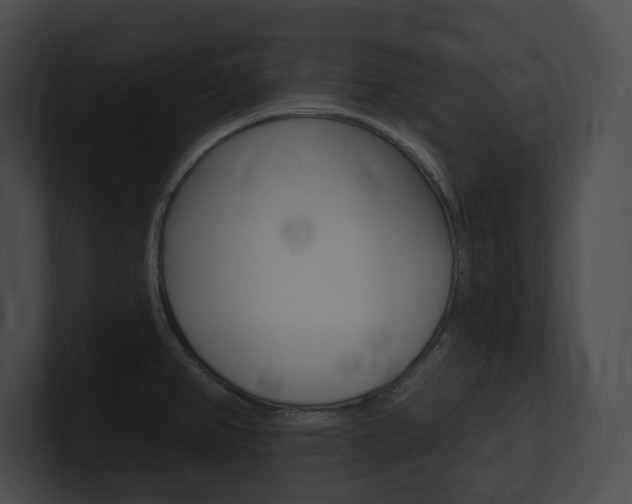X0000101161382200806270723