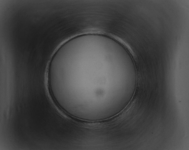X0000101161383200806270723