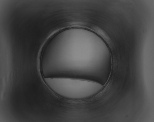 X0000101161384200806270723