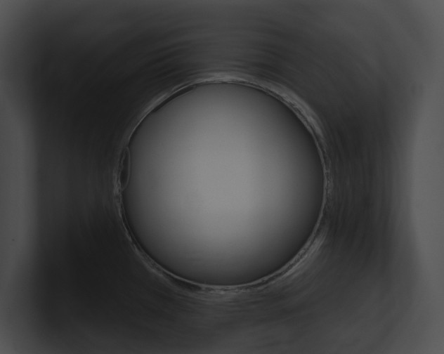 X0000101161385200806270723
