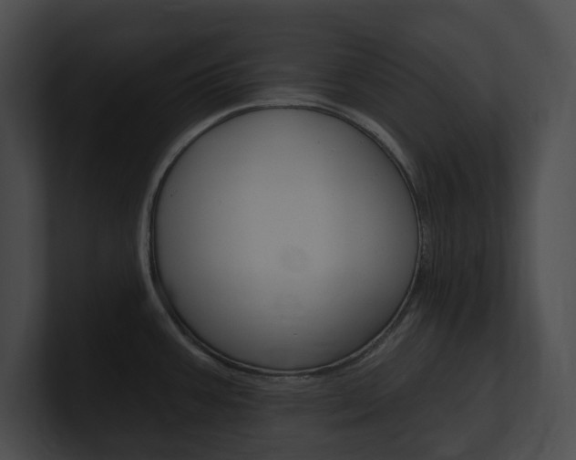 X0000101161387200806270723