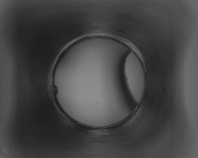 X0000101161388200806270723