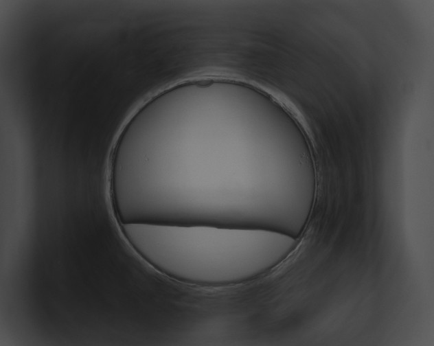 X0000101161390200806270723