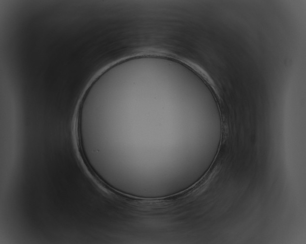 X0000101161391200806270723