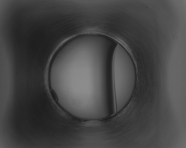 X0000101161392200806270723
