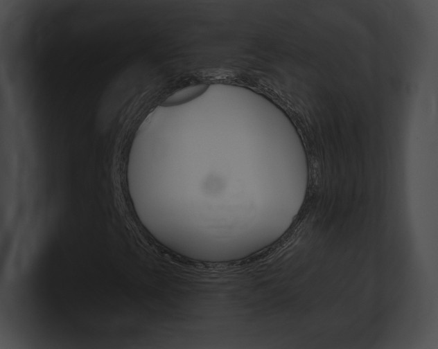 X0000101161393200806270722