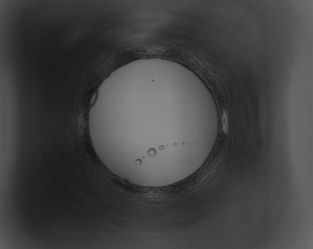 X0000101161395200806270722
