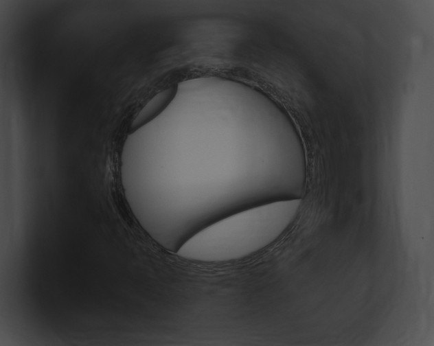 X0000101161397200806270722