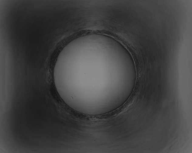 X0000101161398200806270722