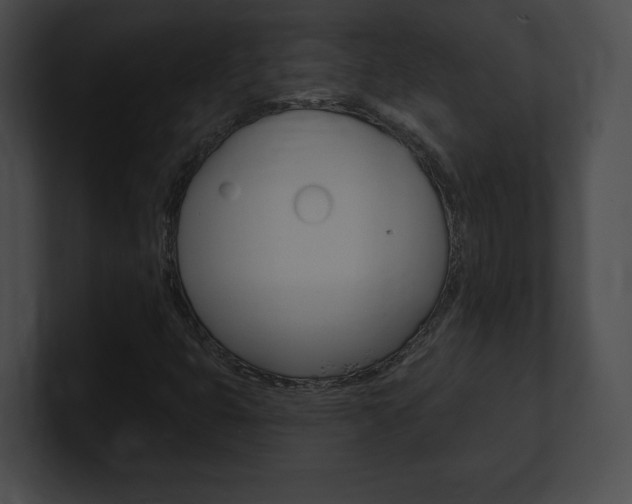 X0000101161399200806270722