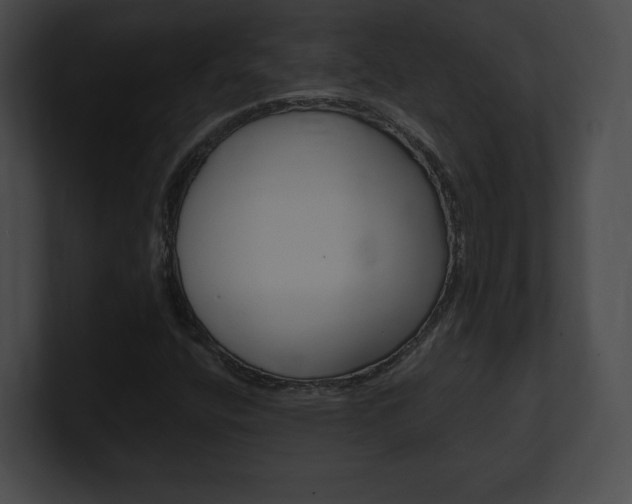 X0000101161400200806270722