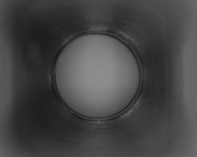 X0000101161401200806270722