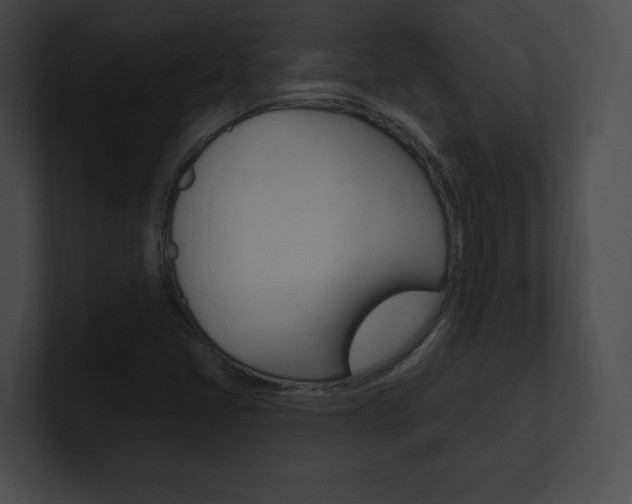 X0000101161405200806270723