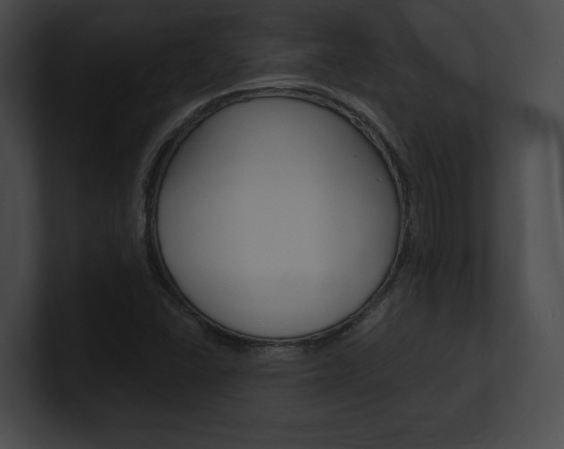 X0000101161406200806270723