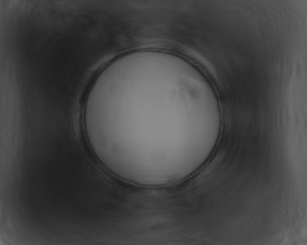 X0000101161411200806270723