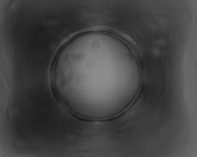 X0000101161412200806270723