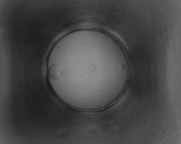 X0000101161413200806270723