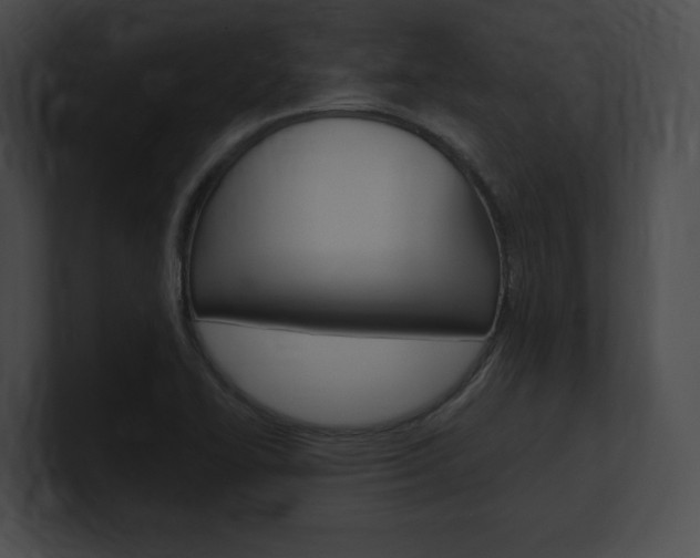X0000101161414200806270723