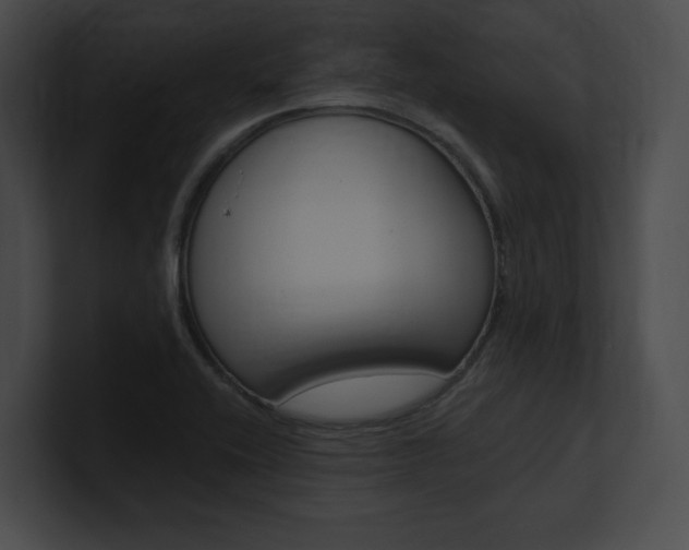 X0000101161416200806270723