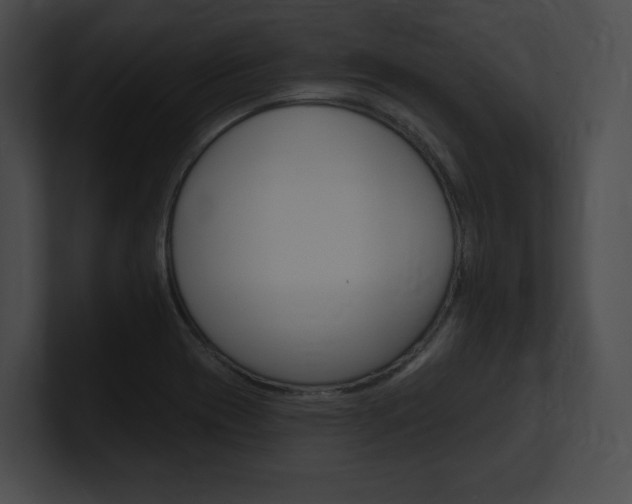 X0000101161417200806270723