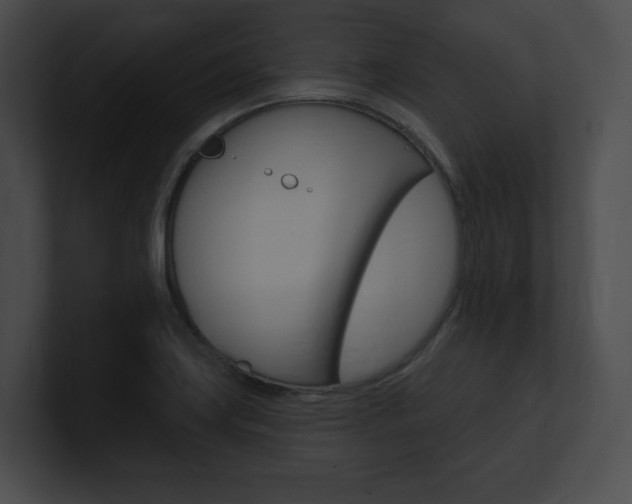X0000101161419200806270723
