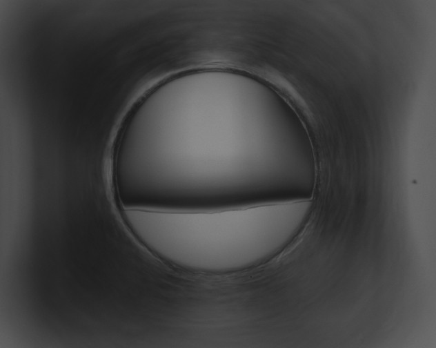 X0000101161424200806270723