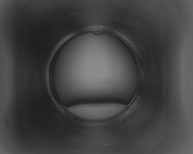 X0000101161426200806270723