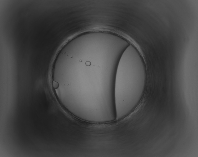 X0000101161429200806270723