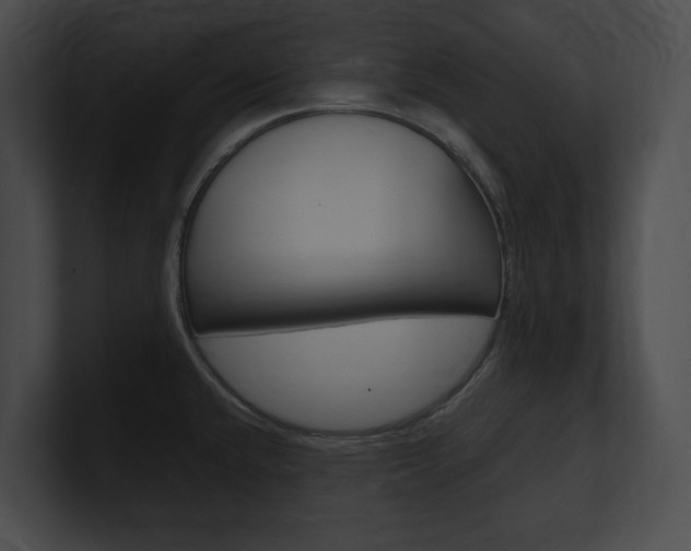 X0000101161432200806270723