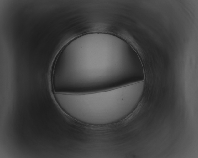 X0000101161434200806270723