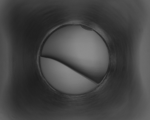 X0000101161436200806270723