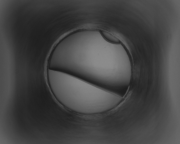 X0000101161437200806270723