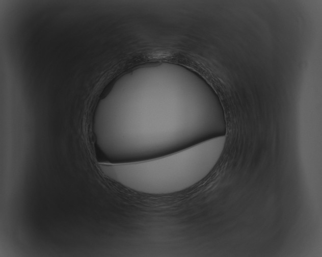 X0000101161441200806270722