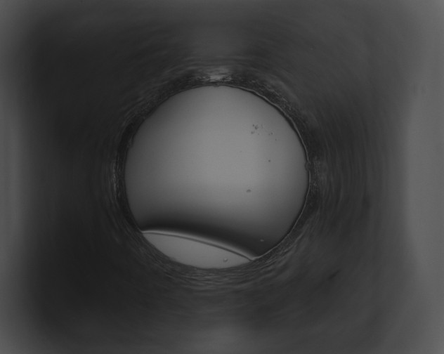 X0000101161442200806270722