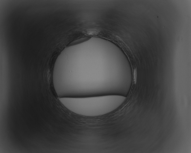 X0000101161443200806270722