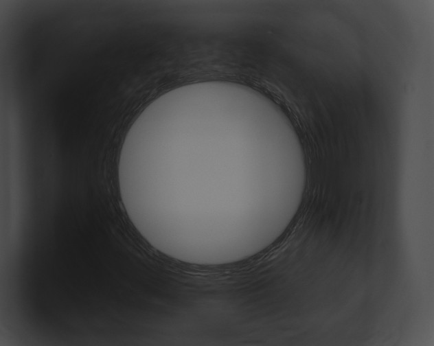 X0000101161444200806270722
