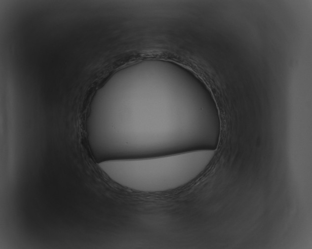X0000101161445200806270722