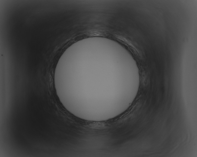 X0000101161446200806270722