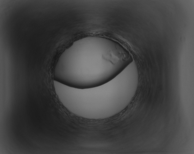X0000101161447200806270722