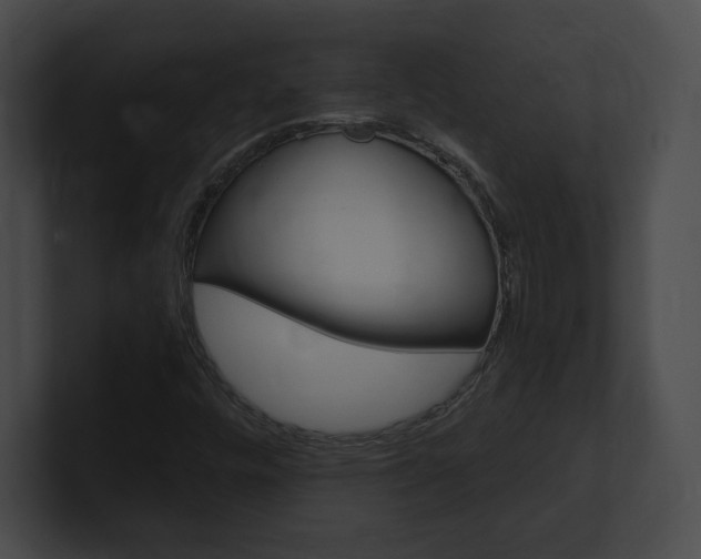 X0000101161448200806270722