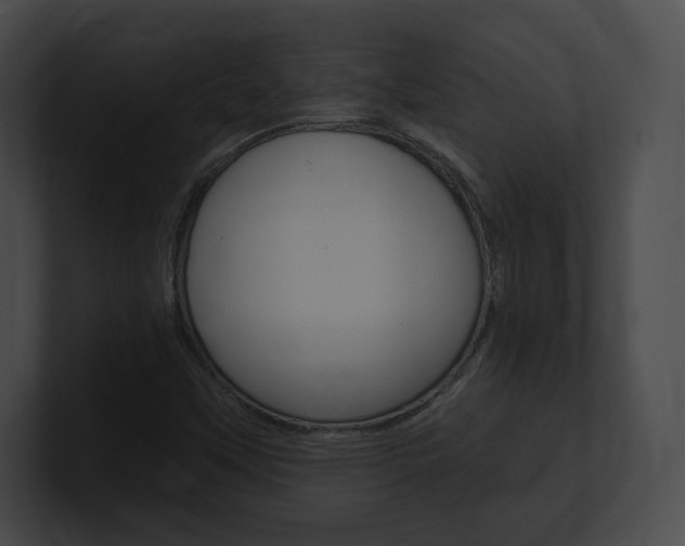 X0000101161451200806270722
