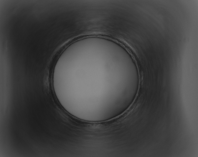 X0000101161452200806270722