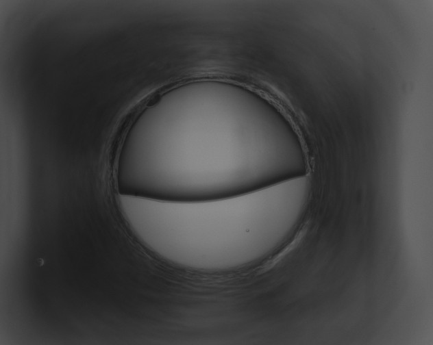 X0000101161453200806270722