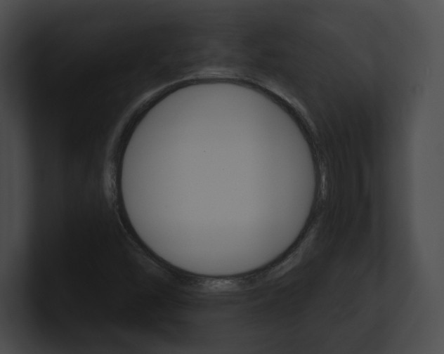 X0000101161454200806270722