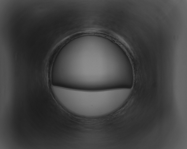 X0000101161456200806270722